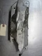 Left Exhaust Manifold Heat Shield For 07-08 Jeep Liberty  3.7 53031093AC
