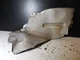 Right Exhaust Heat Shield Panel 1643320388A 06-11 Mercedes Benz W164 ML350 ML500