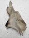 2017-2022 Audi A4 Front Left Side CV Joint Frame Splash Heat Shield 8W0399299A