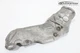 2017-2024 NISSAN ARMADA 5.6L V8 ENGINE EXHAUST MANIFOLD RIGHT HEAT SHIELD OEM